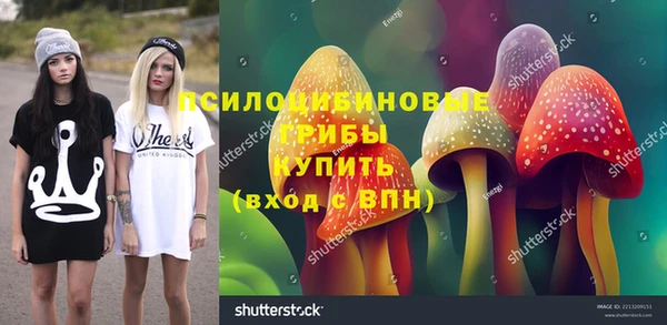 apvp Костерёво